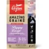 ORIJEN Amazing Grains Puppy Large Breed Dry Dog Food, 22.5-lb Bag 1 ORIJEN Amazing Grains Puppy Large Breed Dry Dog Food, 22.5-lb Bag -Blue Buffalos Shop 354071 MAIN. AC SS1800 V1639147664