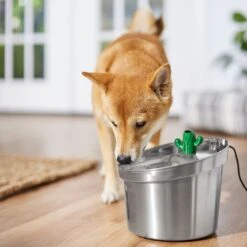Frisco Stainless Steel Cactus & Leaf Dog & Cat Fountain 14 Frisco Stainless Steel Cactus & Leaf Dog & Cat Fountain -Blue Buffalos Shop 355814 PT5. AC SS1800 V1665683869