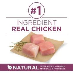 Purina ONE +Plus High Protein Healthy Puppy Formula Dry Puppy Food -Blue Buffalos Shop 355892 PT3. AC SS1800 V1640227661