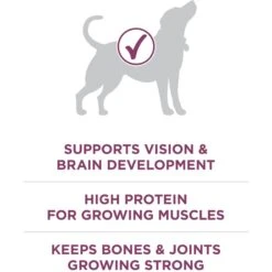 Purina ONE +Plus High Protein Healthy Puppy Formula Dry Puppy Food -Blue Buffalos Shop 355892 PT4. AC SS1800 V1640206599