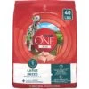 Purina ONE +Plus Natural Large Breed Formula Dry Puppy Food