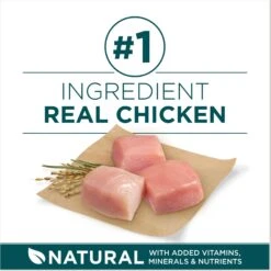 Purina ONE +Plus Natural Large Breed Formula Dry Puppy Food -Blue Buffalos Shop 355894 PT3. AC SS1800 V1676318664