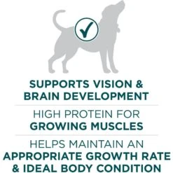 Purina ONE +Plus Natural Large Breed Formula Dry Puppy Food -Blue Buffalos Shop 355894 PT4. AC SS1800 V1676051535