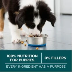 Purina ONE +Plus Natural Large Breed Formula Dry Puppy Food -Blue Buffalos Shop 355894 PT6. AC SS1800 V1676319357