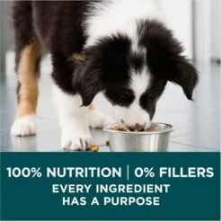 Purina ONE +Plus Natural Large Breed Formula Dry Puppy Food -Blue Buffalos Shop 355894 PT7. AC SS1800 V1676321160