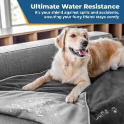 GoTags Personalized Dog Blanket -Blue Buffalos Shop 357892 PT4. AC SS1800 V1643224287