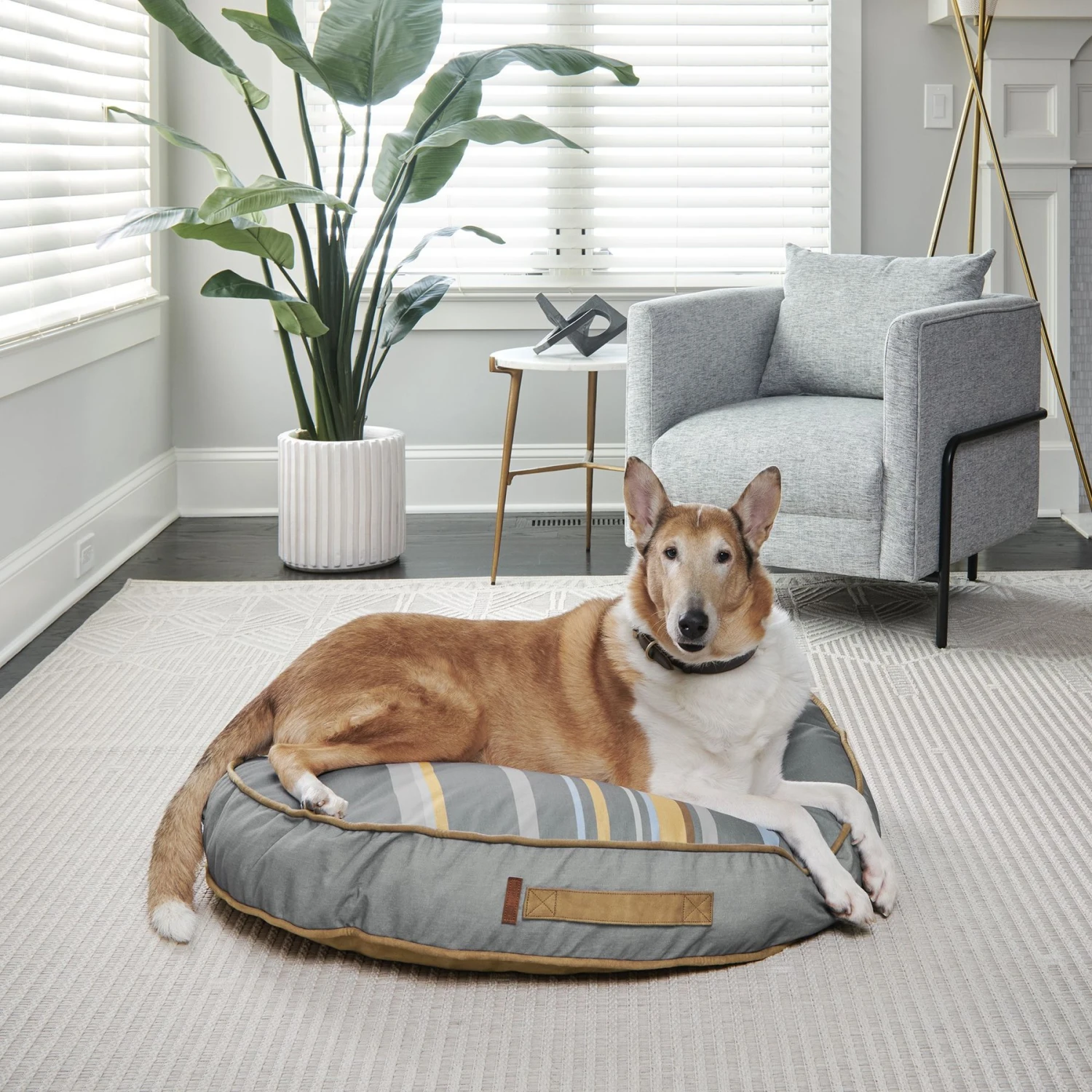 Bark And Slumber Round Lounger Pillow Dog Bed With Removable Cover 3 Bark And Slumber Round Lounger Pillow Dog Bed With Removable Cover