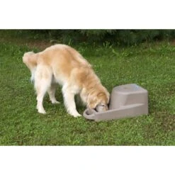 Dakota 283 Dash Dakota Guard Antimicrobial Dog Watering System 13 Dakota 283 Dash Dakota Guard Antimicrobial Dog Watering System -Blue Buffalos Shop 361602 PT3. AC SS1800 V1643673455