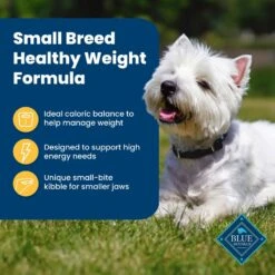 Blue Buffalo Life Protection Formula Small Breed Healthy Weight Adult Chicken & Brown Rice Recipe Dry Dog Food -Blue Buffalos Shop 361629 PT3. AC SS1800 V1704319835