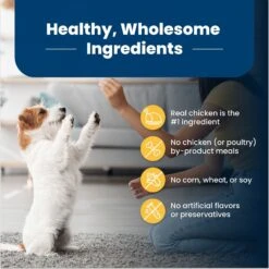 Blue Buffalo Life Protection Formula Small Breed Healthy Weight Adult Chicken & Brown Rice Recipe Dry Dog Food -Blue Buffalos Shop 361629 PT5. AC SS1800 V1704319892