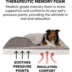 FurHaven Berber & Suede Blanket Top Memory Foam Cat & Dog Bed -Blue Buffalos Shop 362081 PT6. AC SS1800 V1645657909