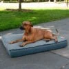FurHaven Quilt Top Memory Foam Convertible Indoor/Outdoor Cat & Dog Bed 2 FurHaven Quilt Top Memory Foam Convertible Indoor/Outdoor Cat & Dog Bed -Blue Buffalos Shop 362129 MAIN. AC SS1800 V1645658789