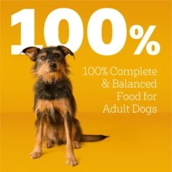 Pedigree Complete Nutrition Roasted Chicken, Rice & Vegetable Flavor Dog Kibble Adult Dry Dog Food -Blue Buffalos Shop 362466 PT8. AC SS1800 V1668026553