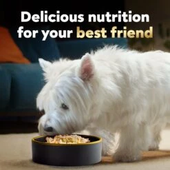 Cesar Wholesome Bowls Variety Pack Beef, Chicken, Carrots, Barley & Green Beans Recipe & Chicken, Apple & Sweet Potato Recipe Small Breed Adult Soft Wet Dog Food -Blue Buffalos Shop 362798 PT7. AC SS1800 V1695655155