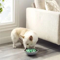 Outward Hound Fun Feeder Wobble Slo-Bowl Dog Bowl, Mint -Blue Buffalos Shop 363002 PT5. AC SS1800 V1694287364
