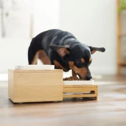 Frisco Elevated Non-Skid Bamboo Melamine Bowl Double Diner With Bamboo Stand -Blue Buffalos Shop 363385 PT5. AC SS1800 V1657657267