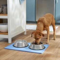Frisco Silicone Dog & Cat Food Mat, Blue -Blue Buffalos Shop 363399 PT2. AC SS1800 V1660750522