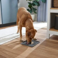 Frisco Non-skid Square Silicone Dog & Cat Lick Mat -Blue Buffalos Shop 363402 PT2. AC SS1800 V1668118082