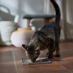 Frisco Non-skid Square Silicone Dog & Cat Lick Mat -Blue Buffalos Shop 363402 PT3. AC SS1800 V1665170734