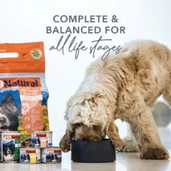 K9 Natural Lamb & King Salmon Grain-Free Canned Dog Food 13 K9 Natural Lamb & King Salmon Grain-Free Canned Dog Food -Blue Buffalos Shop 363953 PT2. AC SS1800 V1643680662