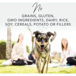 K9 Natural Lamb & King Salmon Grain-Free Canned Dog Food 17 K9 Natural Lamb & King Salmon Grain-Free Canned Dog Food -Blue Buffalos Shop 363953 PT6. AC SS1800 V1643679105