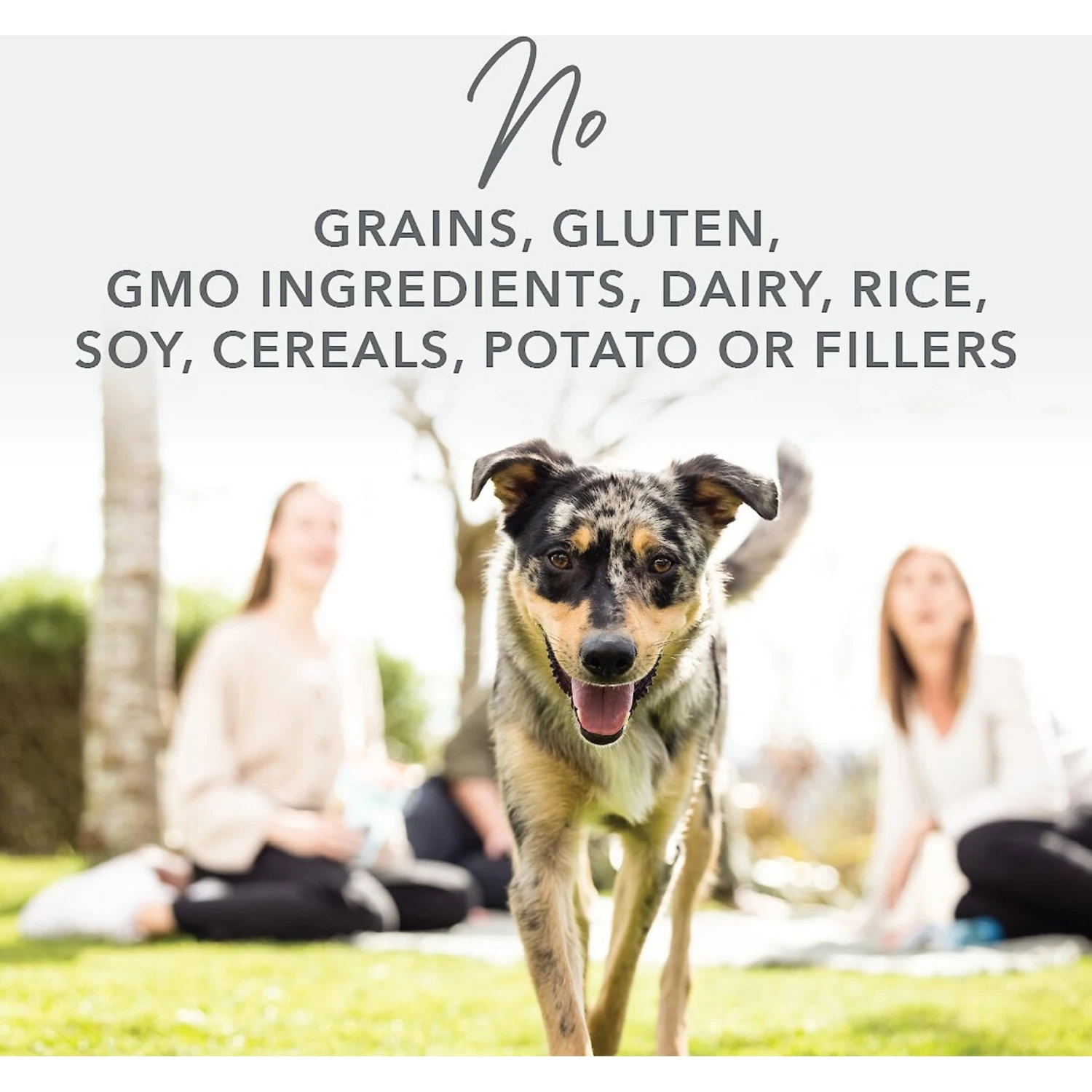 K9 Natural Lamb & King Salmon Grain-Free Canned Dog Food 9 K9 Natural Lamb & King Salmon Grain-Free Canned Dog Food - Image 7