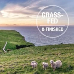 K9 Natural Lamb & King Salmon Grain-Free Canned Dog Food 18 K9 Natural Lamb & King Salmon Grain-Free Canned Dog Food -Blue Buffalos Shop 363953 PT7. AC SS1800 V1643668283