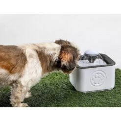 PawPerfect Cat & Dog Water Fountain, White 11 PawPerfect Cat & Dog Water Fountain, White -Blue Buffalos Shop 365301 PT3. AC SS1800 V1644875801