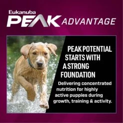 Eukanuba Premium Performance Pro Puppy Dry Dog Food -Blue Buffalos Shop 367115 PT3. AC SS1800 V1661528755
