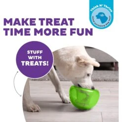Planet Dog Orbee-Tuff Snoop Interactive Treat Dispensing Dog Toy -Blue Buffalos Shop 367753 PT1. AC SS1800 V1644532589