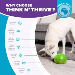 Planet Dog Orbee-Tuff Snoop Interactive Treat Dispensing Dog Toy -Blue Buffalos Shop 367753 PT5. AC SS1800 V1687966996