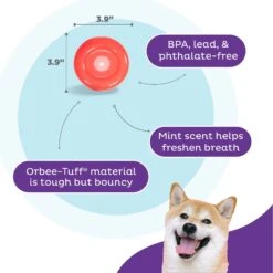 Planet Dog Orbee-Tuff Lil' Snoop Interactive Treat Dispensing Dog Toy -Blue Buffalos Shop 367755 PT2. AC SS1800 V1687966990