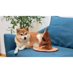 Fetch For Pets Harry Potter House Sorting Hat Burrow Dog Toy -Blue Buffalos Shop 367779 PT7. AC SS1800 V1645220798