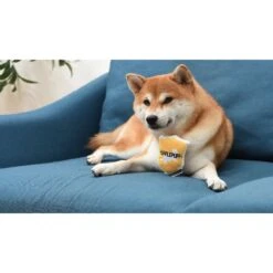 Fetch For Pets Harry Potter House Sorting Hat Burrow Dog Toy -Blue Buffalos Shop 367779 PT8. AC SS1800 V1645225899