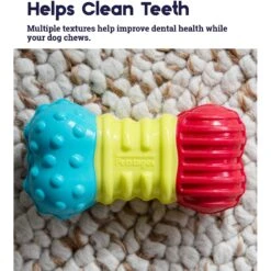 Petstages Multi-Squeak Bone Dog Chew Toy 11 Petstages Multi-Squeak Bone Dog Chew Toy -Blue Buffalos Shop 367946 PT2. AC SS1800 V1644532053