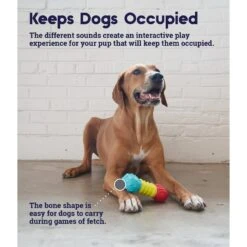 Petstages Multi-Squeak Bone Dog Chew Toy 12 Petstages Multi-Squeak Bone Dog Chew Toy -Blue Buffalos Shop 367946 PT3. AC SS1800 V1644525450