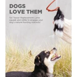 Outward Hound Fox Tail Teaser Wand Dog Toy Replacement Lure -Blue Buffalos Shop 368180 PT2. AC SS1800 V1644530576