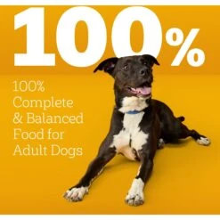 Pedigree High Protein Chicken & Turkey Flavor Adult Dry Dog Food -Blue Buffalos Shop 368365 PT8. AC SS1800 V1668026299