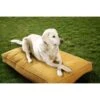 Sunbrella By Austin Horn Collection Indoor/Outdoor Double Sided Elevated Dog Bed -Blue Buffalos Shop 368986 MAIN. AC SS1800 V1648074398