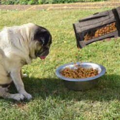 Pet Parade Pooch Pal Dog Feeder, Gray 14 Pet Parade Pooch Pal Dog Feeder, Gray -Blue Buffalos Shop 369419 PT3. AC SS1800 V1648500403