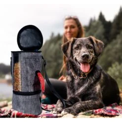 Pet Parade Pooch Pal Dog Feeder, Gray 16 Pet Parade Pooch Pal Dog Feeder, Gray -Blue Buffalos Shop 369419 PT5. AC SS1800 V1648507309