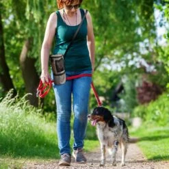 Pet Parade Pooch Pal Dog Feeder, Gray 18 Pet Parade Pooch Pal Dog Feeder, Gray -Blue Buffalos Shop 369419 PT7. AC SS1800 V1648505834