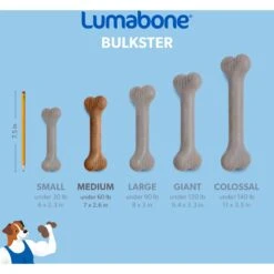 Lumabone Bulkster Bacon Flavor Dog Toy -Blue Buffalos Shop 370197 PT5. AC SS1800 V1646764954