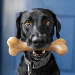 Lumabone Bulkster Beef Flavor Dog Toy 12 Lumabone Bulkster Beef Flavor Dog Toy -Blue Buffalos Shop 370204 PT4. AC SS1800 V1646795884