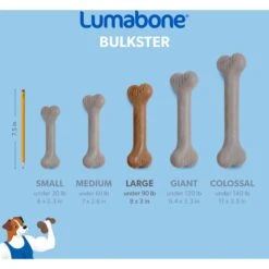 Lumabone Bulkster Beef Flavor Dog Toy 13 Lumabone Bulkster Beef Flavor Dog Toy -Blue Buffalos Shop 370204 PT5. AC SS1800 V1646765525