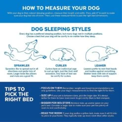 Disney Mickey Mouse Bolster Cat & Dog Bed & Disney Pluto Pillow Cat & Dog Bed -Blue Buffalos Shop 370378 PT3. AC SS1800 V1645808530