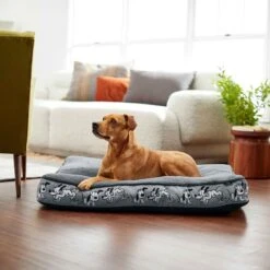 Disney Mickey Mouse Bolster Cat & Dog Bed & Disney Pluto Pillow Cat & Dog Bed -Blue Buffalos Shop 370378 PT8. AC SS1800 V1645808515