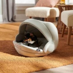 STAR WARS THE MANDALORIAN GROGU Covered Cat & Dog Bed & STAR WARS THE MANDALORIAN GROGU Pram Covered Cat & Dog Bed 19 STAR WARS THE MANDALORIAN GROGU Covered Cat & Dog Bed & STAR WARS THE MANDALORIAN GROGU Pram Covered Cat & Dog Bed -Blue Buffalos Shop 370390 PT8. AC SS1800 V1645808501