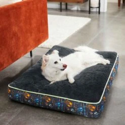 STAR WARS THE MANDALORIAN GROGU Pillow Cat & Dog Bed & STAR WARS THE MANDALORIAN GROGU Bolster Cat & Dog Bed -Blue Buffalos Shop 370398 PT4. AC SS1800 V1645808808