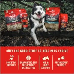 Stella & Chewy's Puppy Prairie Recipe Wild Red Raw Coated High Protein Wholesome Grains Dry Dog Food 19 Stella & Chewy's Puppy Prairie Recipe Wild Red Raw Coated High Protein Wholesome Grains Dry Dog Food -Blue Buffalos Shop 370802 PT8. AC SS1800 V1667518645